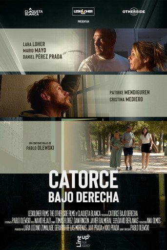 Catorce Bajo Derecha