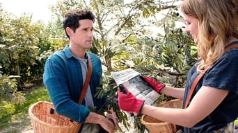 Galeria 5 - Love Under the Olive Tree