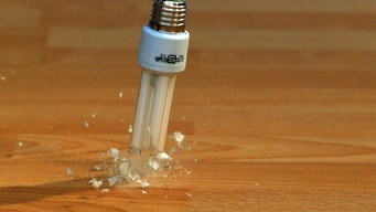 Bulb Fiction (2011)