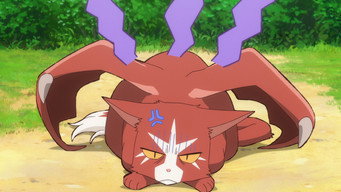 Assistir The Cat and the Dragon Online
