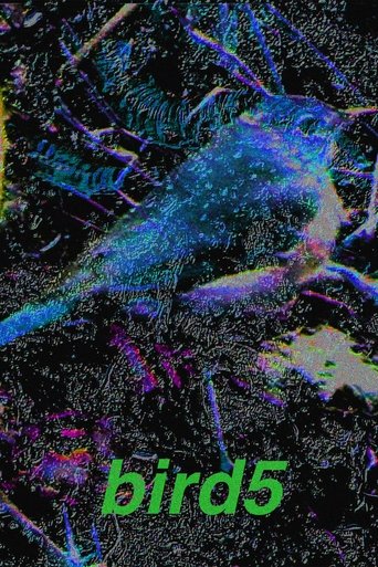 bird5.mp4 (2025) bird5.mp4 (2025)