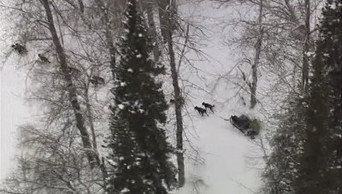 Surviving the Alaska Range