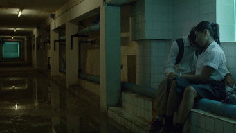 Such Is Life in the Tropics (2016)