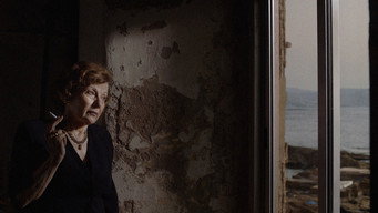 The President's Visit (2017)