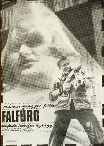 Poster of Falfúró