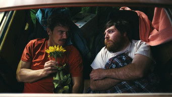 Love Meets in the Sunshine