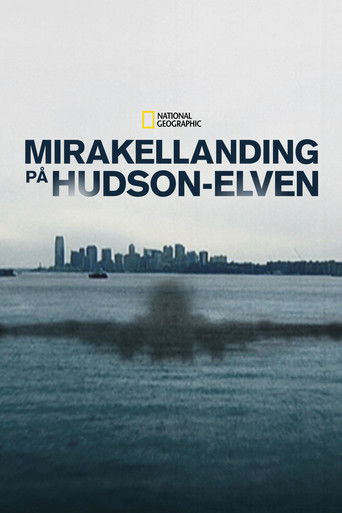 Miracle Landing on the Hudson