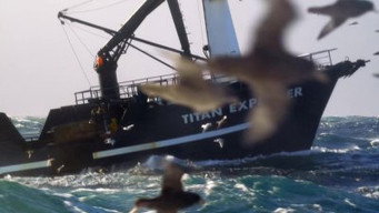 Pesca radical T21E14