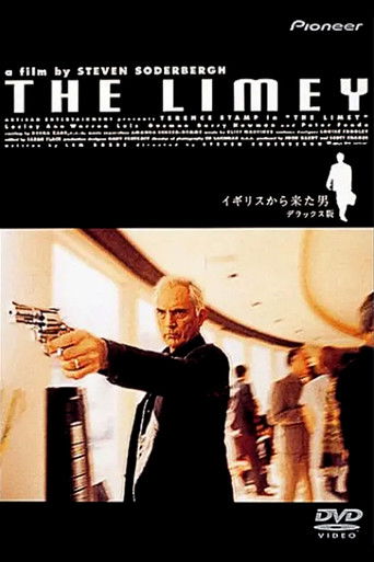 イギリスから来た男 (1999)