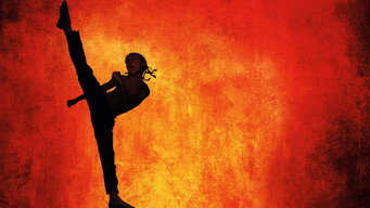 The Karate Kid backdrop 3