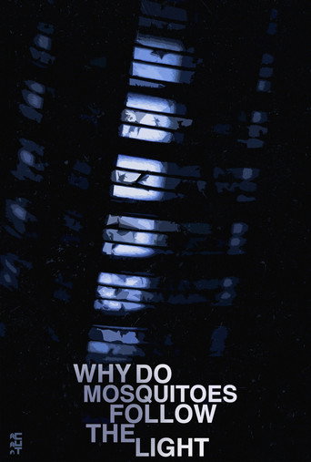 Why Do Mosquitoes Follow The Light? (2021)