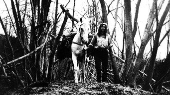 Кінець серпня в готелі "Озон" (1967)