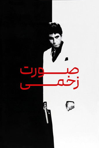 صورت زخمی (1983)