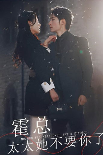 霍总太太她不要你了 poster