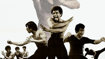 The Black Dragon (1974)