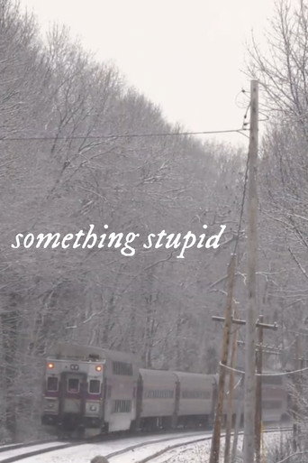 Something Stupid (2026)