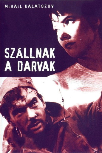 Sz&aacute;llnak a darvak