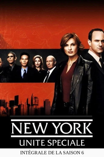 New York Unité Spéciale - S6 - Poster