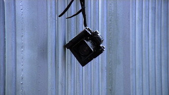 #61 Тероризатори