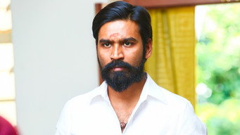 #14 Kodi
