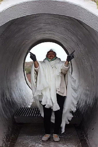 Celestial Vault poster