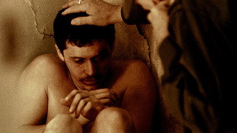 #48 Трафік