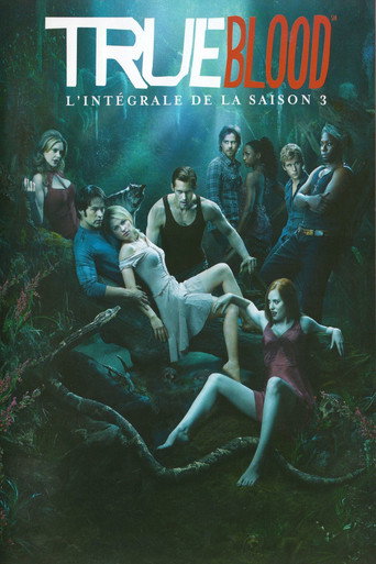 True Blood - S3 - Épisode 4 : Neuf crimes - Affiche