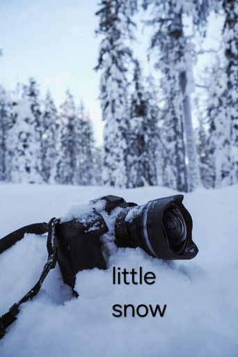 little snow (2026)