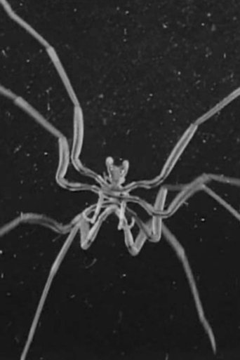 Caprelles et Pantopodes (1930) Caprelles et Pantopodes (1930)