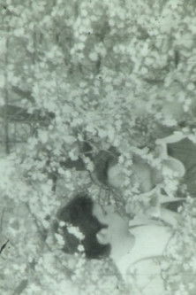 Без назви (1982)