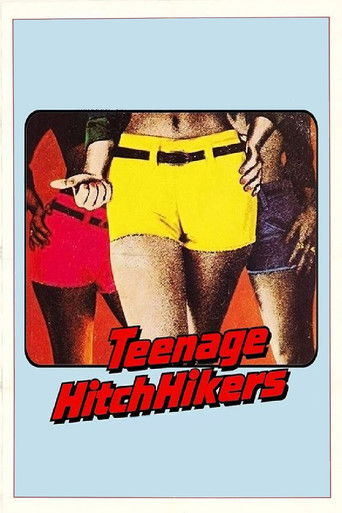 Teenage Hitchhikers poster 3
