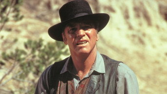 #12 Lawman
