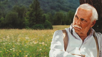 Одна ластівка весну приносить (2001)