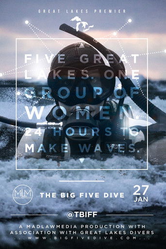 The Big Five Dive poster