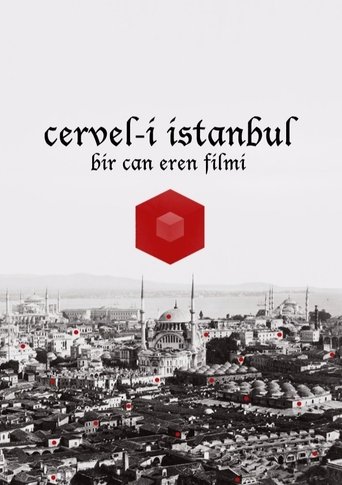 Cervel-i İstanbul (2013)