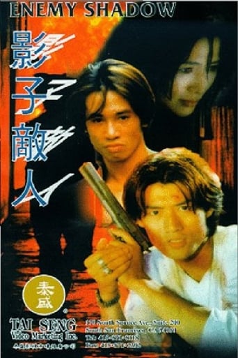 Poster of 影子敌人