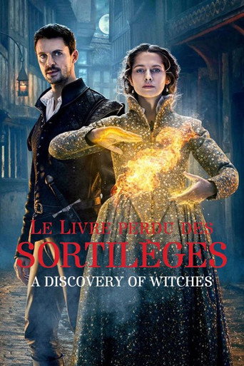 Le Livre perdu des sortilèges - S2 - Affiche