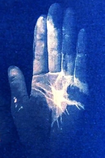 I speak the night poster