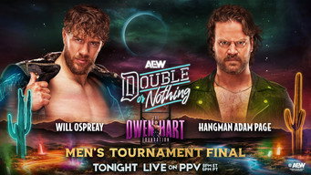 AEW Double or Nothing 2025 (2025)