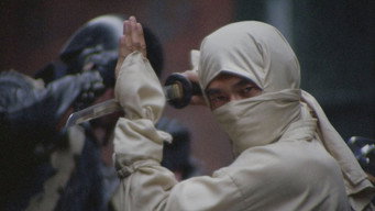 New York Ninja backdrop 1