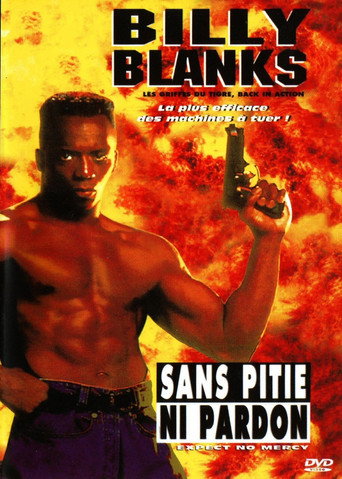Poster for Sans pitié ni pardon