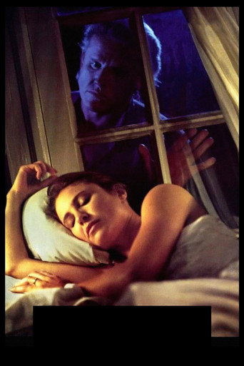 Hider in the House poster