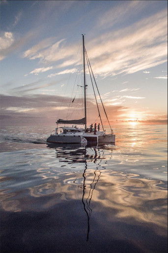 Bluewater Safari (2022)