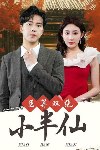 医算双绝小半仙 poster