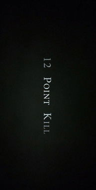 12 Point Kill poster