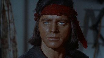 #16 Apache