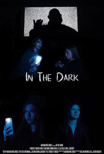 In The Dark poster