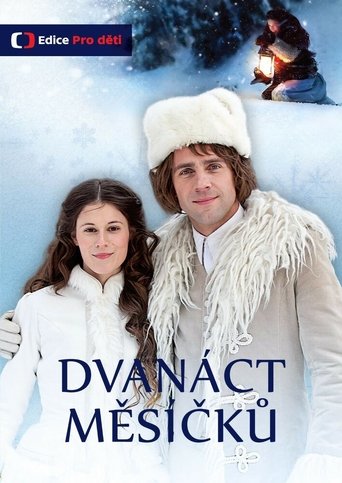 Poster of Dvanáct měsíčků