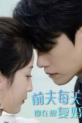 前夫每天都在想复婚 poster