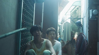 Yan (2019)